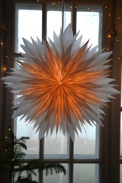 Pappersstjrna, DIS, 60 cm, TER I LAGER