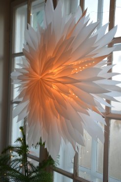Pappersstjrna, DIS, 60 cm, TER I LAGER
