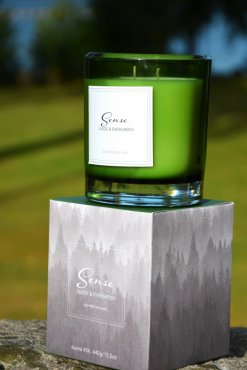 Doftljus, Suede & Evergreen