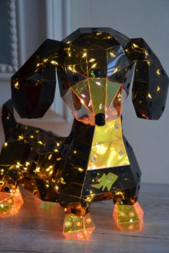 Hund belysning, inomhusdekoration