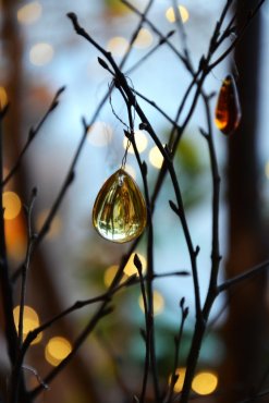 Droppe, Yellow Topaz, 20-24 mm