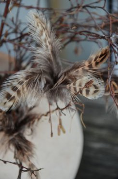 Fj�derknippen "blomma" melerade