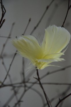 Fj�derknippen "Blomma", gul