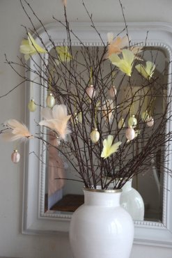 Fj�derknippen "Blomma", aprikos