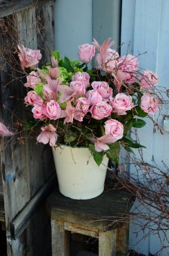 Fjäderknippen, "Blomma", gammelrosa