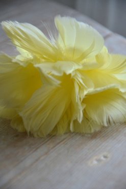 Fj�derknippen "Blomma", gul