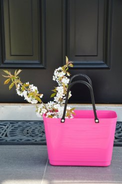V�ska Hinza, cerise, liten