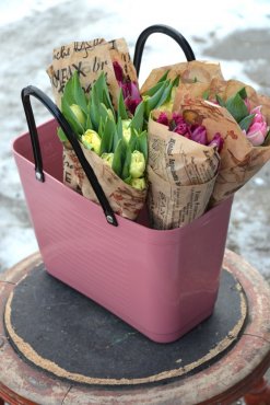 V�ska Hinza, Green Plastic Stor Varmrosa