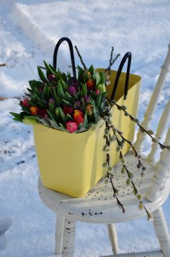 Vska Hinza, Green Plastic, Citrongul, stor