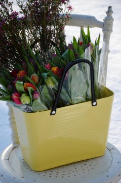 Vska Hinza, Green Plastic, Citrongul, liten
