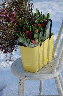 Vska Hinza, Green Plastic, Citrongul, liten