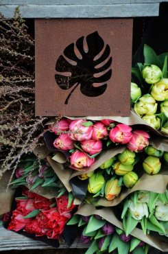 Skylt till armeringsnt, Monstera