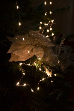 Julgransslinga med stj�rnor