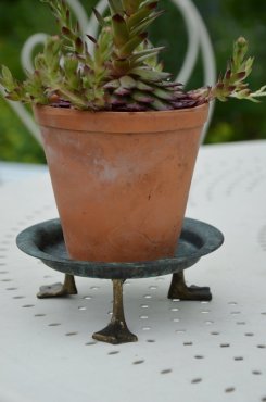 Krukfat med tassar melerad, "Joakim", mellan