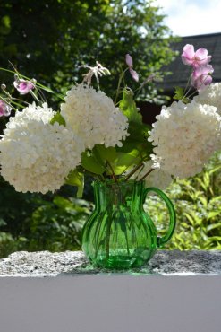 Glaskanna gr�n