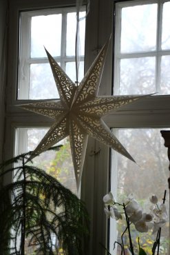 Pappersstjrna Lace, 80 cm