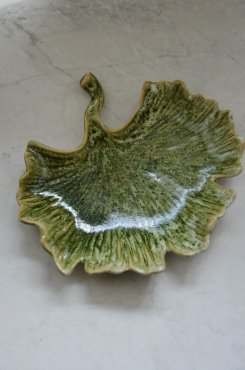 Ginkgo fat