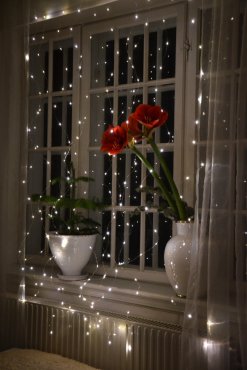 Ljusgardin, "Stjrnhav" lng, TER I LAGER