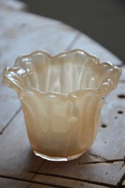 Ljuslykta blomma aprikos