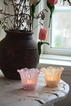 Ljuslykta blomma aprikos