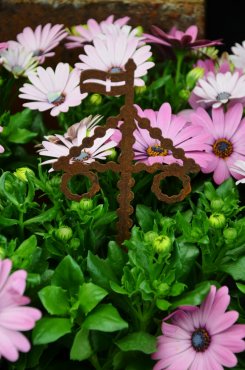 Midsommarstng, rostig