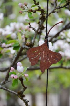 Ginkgo, mobil rost, Eldgarden