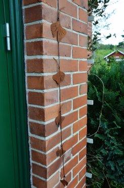 Ginkgo, mobil rost, Eldgarden