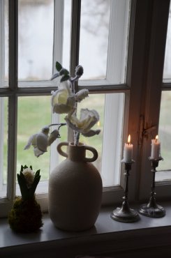 Magnolia med sn