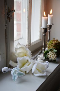Magnolia med sn