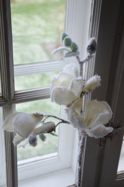Magnolia med sn