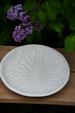 Sally Plate, Olsson & Jensen
