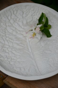 Sally Plate, Olsson & Jensen