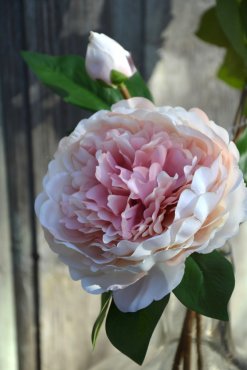 Pion, konstgjord, aprikos/rosa