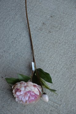 Pion, konstgjord, rosa mix