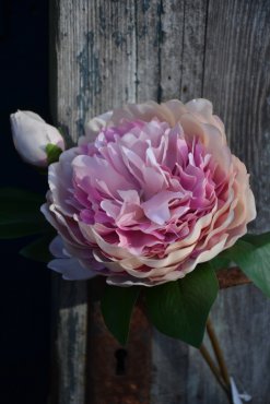 Pion, konstgjord, rosa mix