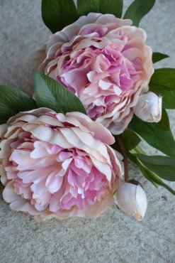 Pion, konstgjord, rosa mix