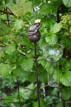 Regnmtare Grodprins, Eldgarden