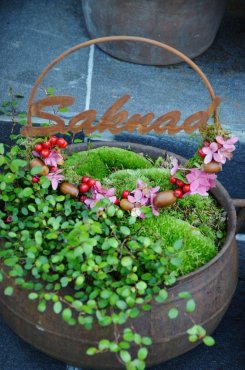 Saknad, ring