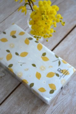 Servetter Citroner, Ib Laursen