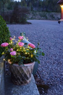 Solcellsljusslinga, Dew Drops