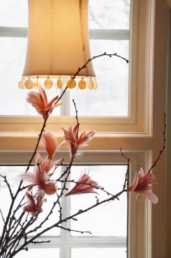 Fj�derknippen "blomma" rosa