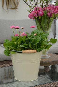 Hink cr�me, Milj�g�rden