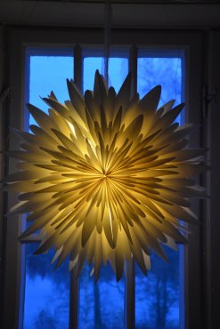 Pappersstjrna, Winter, 60 cm