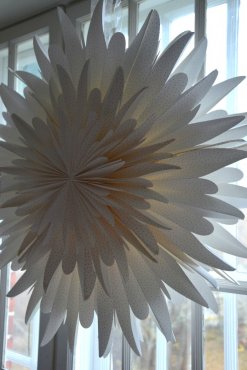 Pappersstjrna, Winter, 60 cm