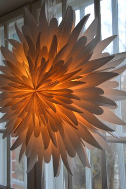 Pappersstjrna, Winter, 60 cm