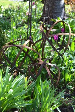 Klot Tagliatelle Litet, Eldgarden