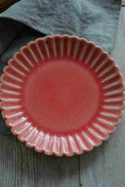 Hulda tallrik korallrd