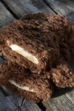 Teddyvantar bruna
