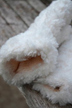 Teddyvantar vintervita