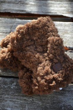 Teddyvantar bruna